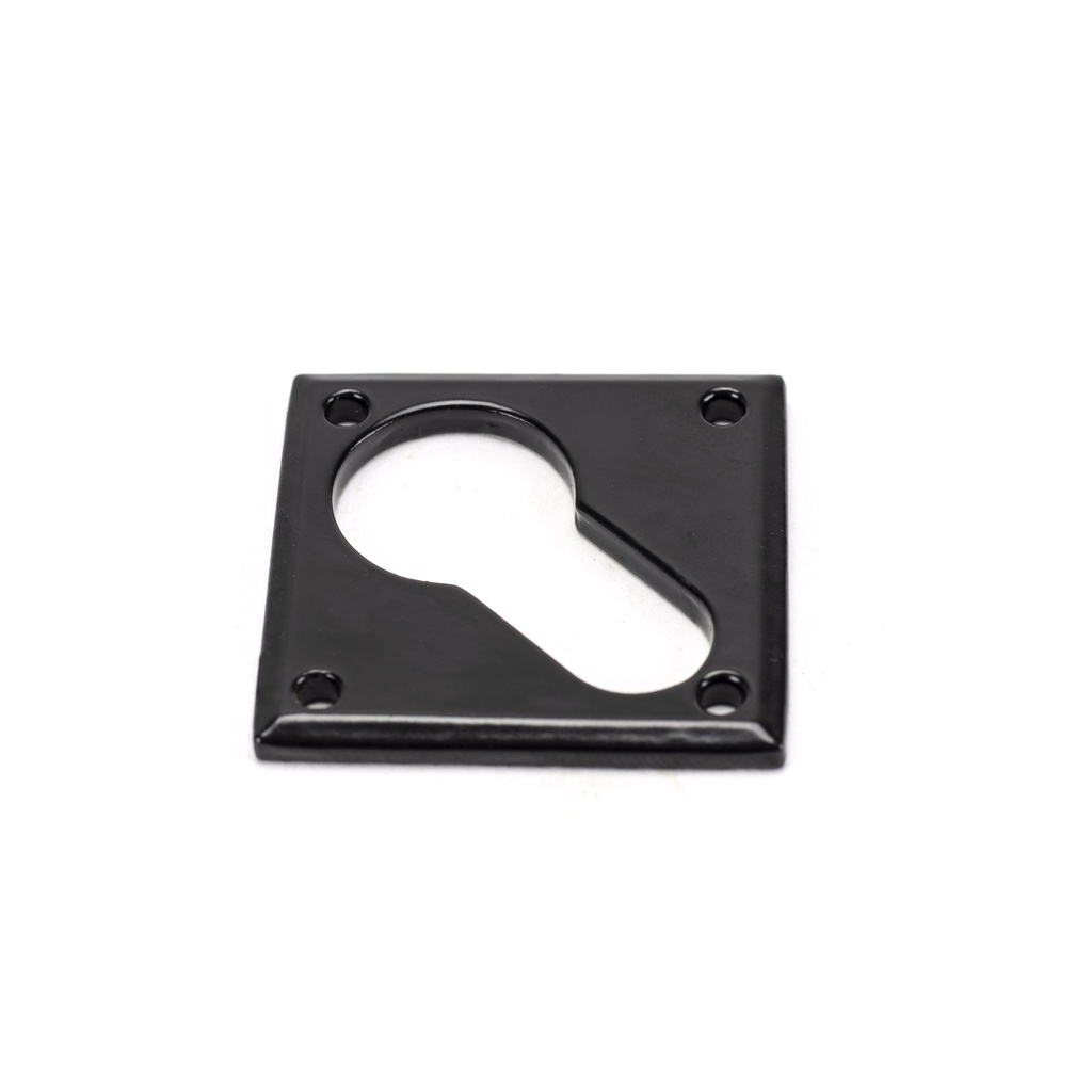 Black Diamond Euro Escutcheon - 33236