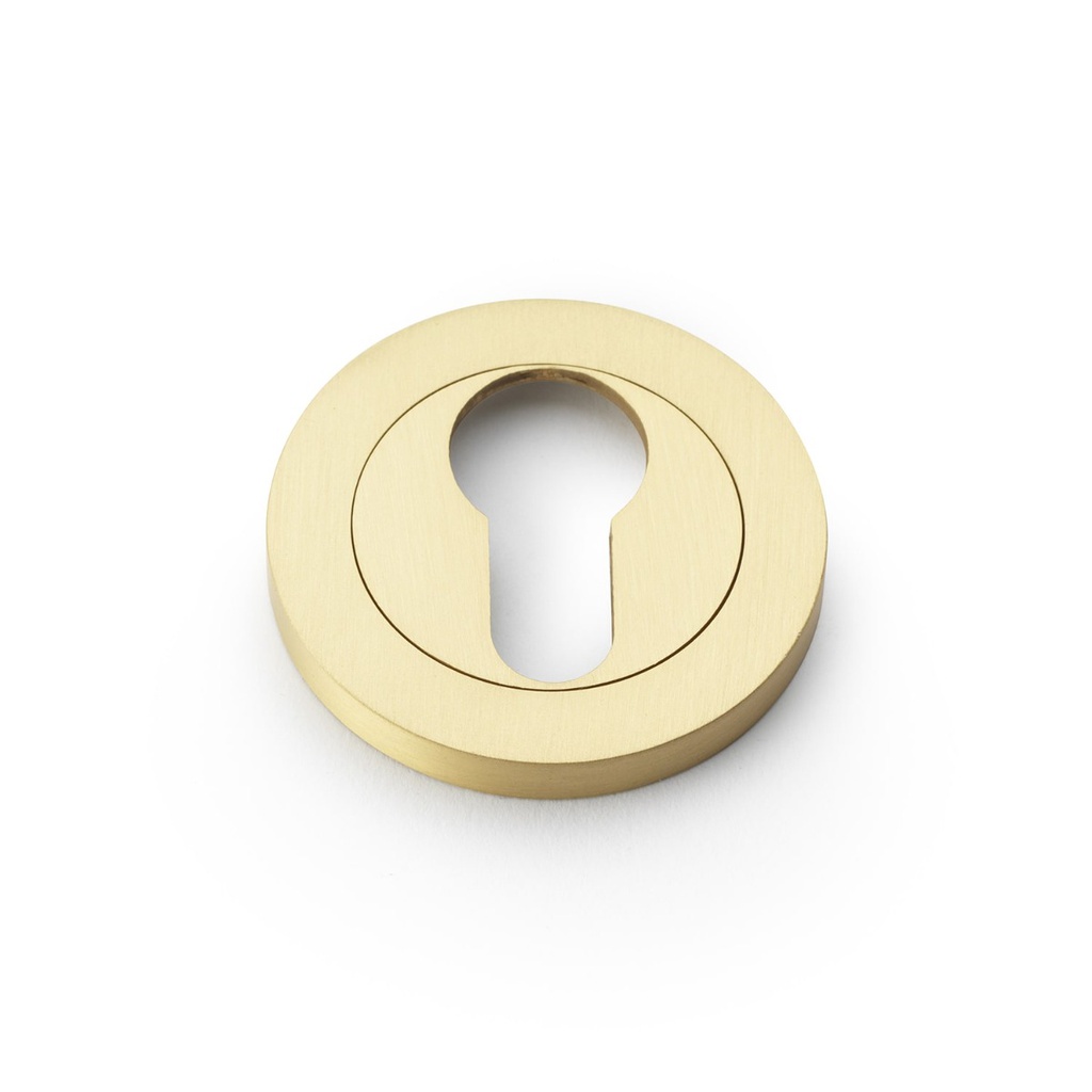 Alexander & Wilks Concealed Fix Escutcheon Euro Profile - Satin Brass