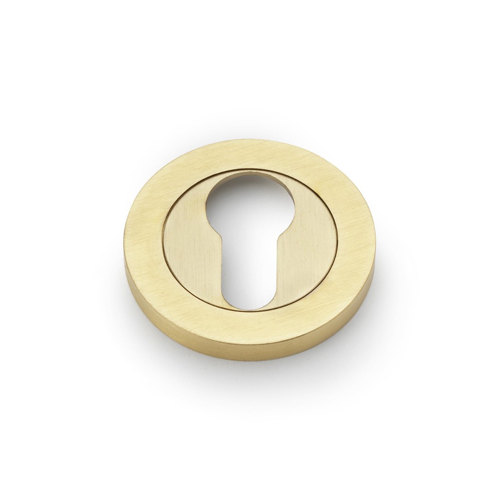 Alexander & Wilks Concealed Fix Escutcheon Euro Profile - Satin Brass PVD