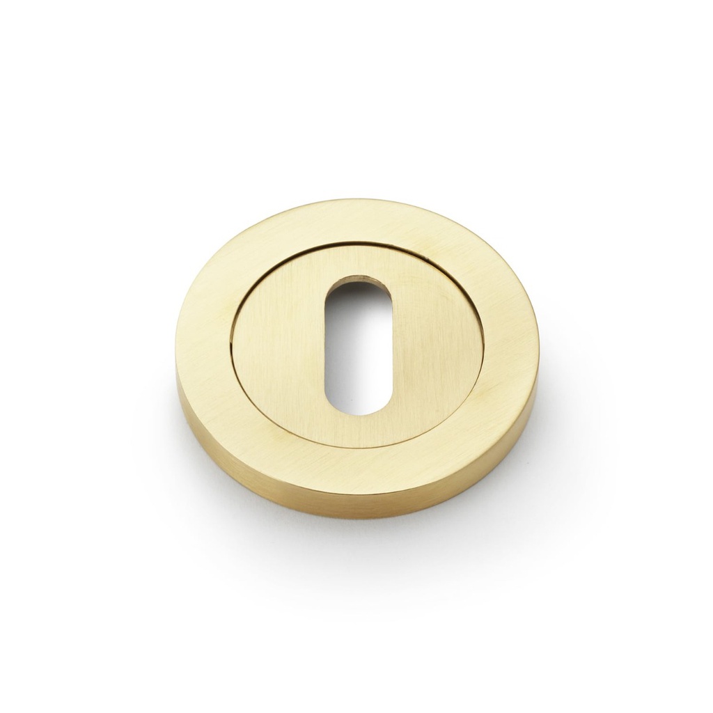 Alexander & Wilks Concealed Fix Escutcheon Standard Profile - Satin Brass PVD