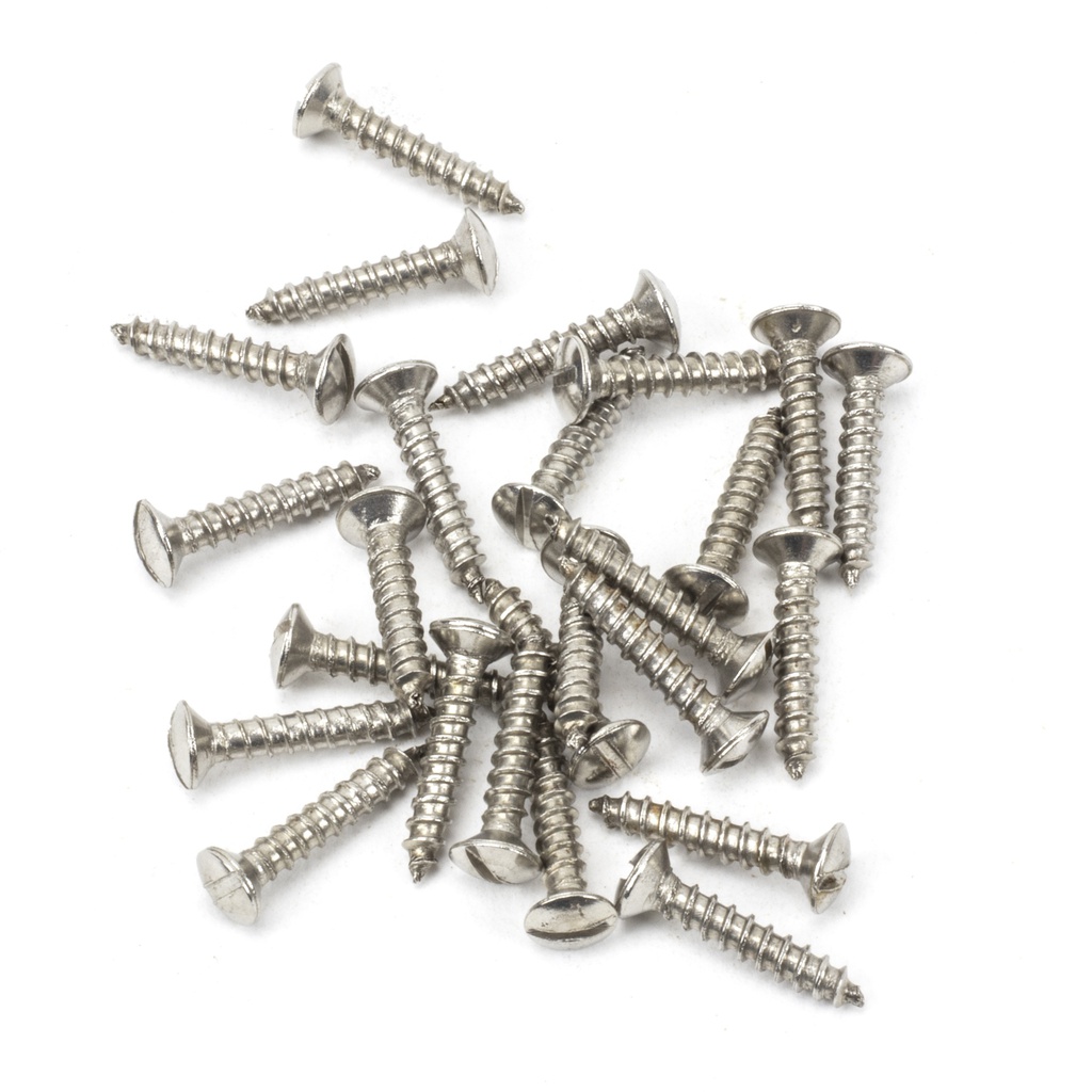 Stainless Steel 6x¾" Countersunk Raised Head Screws (25) - 91247