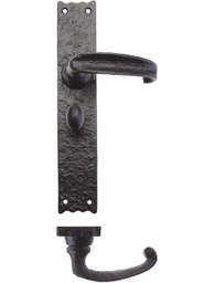 [FF513] Traditional Lever on Bathroom Long Backplate - 10"