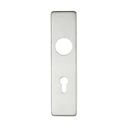 [ZCS41EPSS72] Cover plate for 19 mm RTD Lever on Short Backplate - Din Euro Profile/72mm Centres - 45mm x 180mm