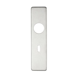 Cover plate for 19 mm RTD Lever on Short Backplate - Lock 57mm - 45mm x 180mm PSS