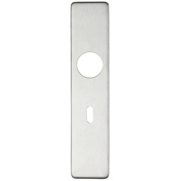 [ZCS31SS] Cover plate for 19 mm and 22mm RTD Lever on Backplate - Lock 57mm