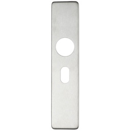 [ZCS31OPSS] Cover plate for 19 mm and 22mm RTD Lever on Backplate - Oval Profile 48.5mm