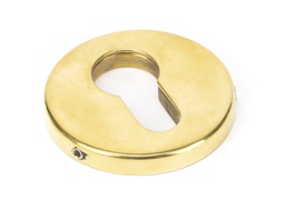 [45473] Aged Brass 52mm Regency Concealed Escutcheon - 45473