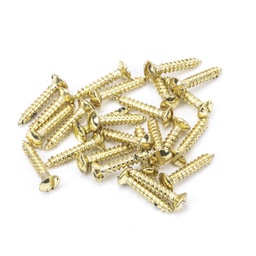 [91264] Polished Brass SS 6x¾" Countersunk Raised Head Screws (25) - 91264