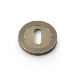 [AW391IB] Alexander & Wilks Concealed Fix Escutcheon Standard Profile - Italian Brass