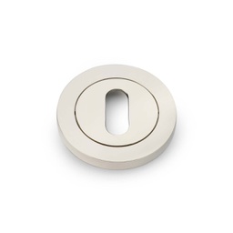 [AW391PNPVD] Alexander & Wilks Concealed Fix Escutcheon Standard Profile - Polished Nickel PVD